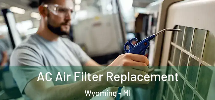 AC Air Filter Replacement Wyoming - MI