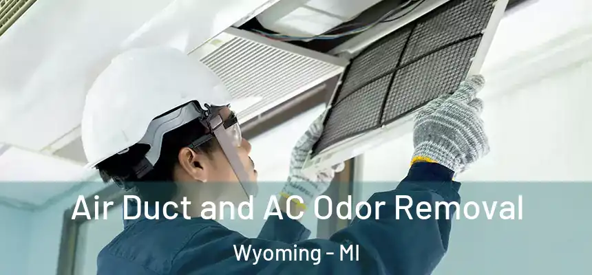  Air Duct and AC Odor Removal Wyoming - MI