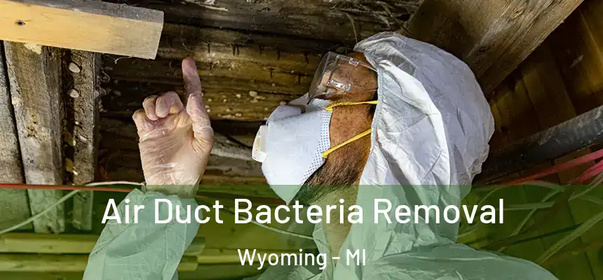  Air Duct Bacteria Removal Wyoming - MI