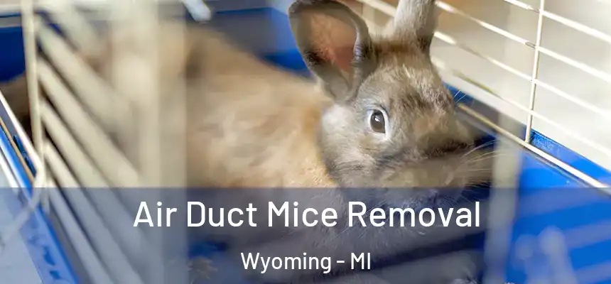 Air Duct Mice Removal Wyoming - MI