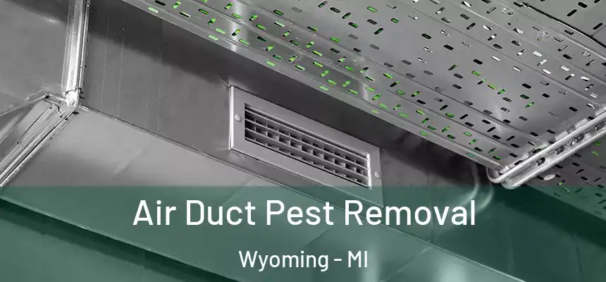  Air Duct Pest Removal Wyoming - MI