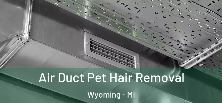  Air Duct Pet Hair Removal Wyoming - MI