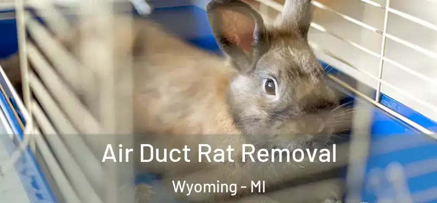 Air Duct Rat Removal Wyoming - MI