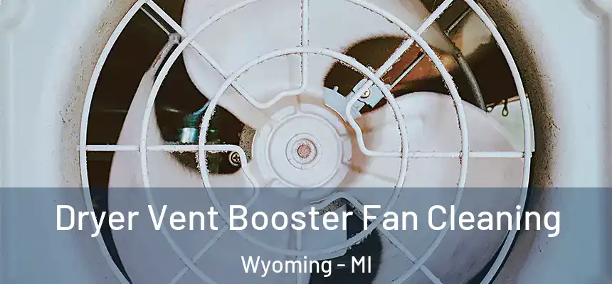 Dryer Vent Booster Fan Cleaning Wyoming - MI