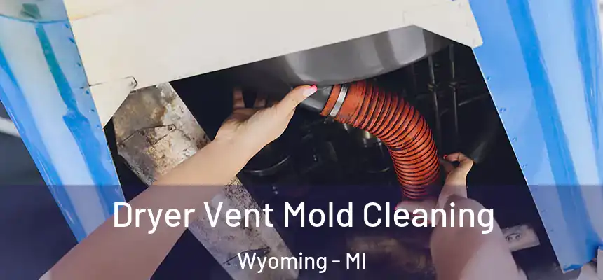  Dryer Vent Mold Cleaning Wyoming - MI