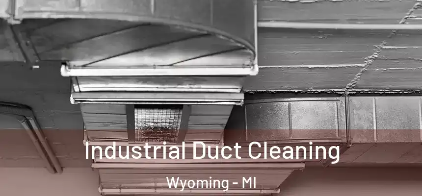 Industrial Duct Cleaning Wyoming - MI