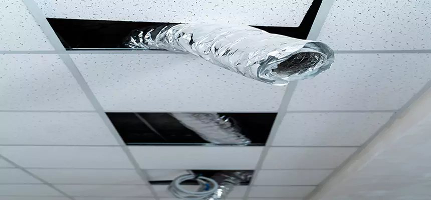 Our Air Duct Pet Hair Removal Services in Wyoming, MI