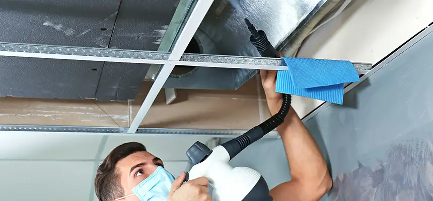 Our Air Duct Rodent Removal Services in Wyoming, MI