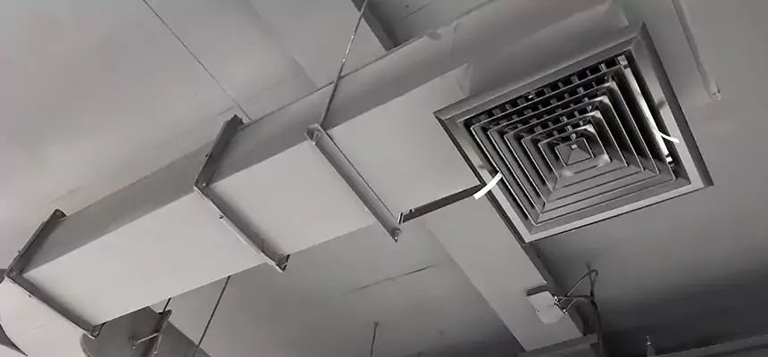 Restorative Allergy Relief Vent Cleaning – Coil, Blower & Housing Detail in Wyoming