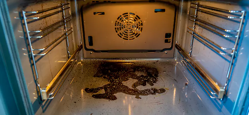 Our Dryer Vent Mold Cleaning Services in Wyoming, MI