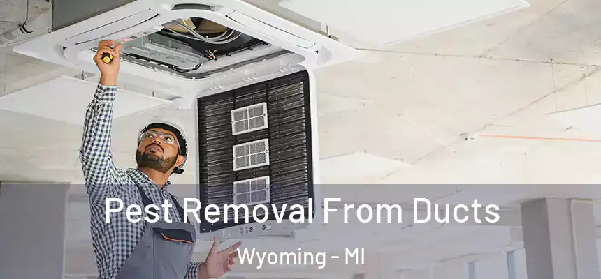 Pest Removal From Ducts Wyoming - MI