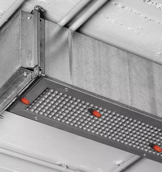 About Air Duct Cockroach Removal in Wyoming, MI