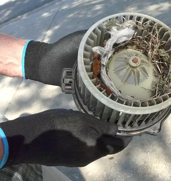 About Air Duct Mice Removal in Wyoming, MI