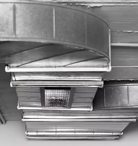 Professional Air Duct Pest Removal in Wyoming, MI