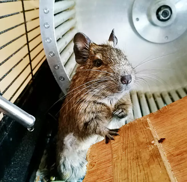 Why Homeowners & Businesses Trust Us Wyoming, MI?